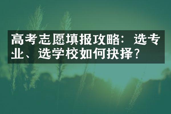 高考志愿填报攻略：选专业、选学校如何抉择？