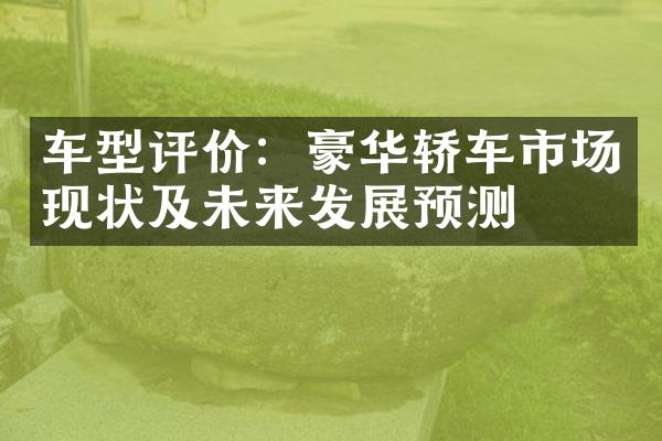 车型评价：豪华轿车市场现状及未来发展预测