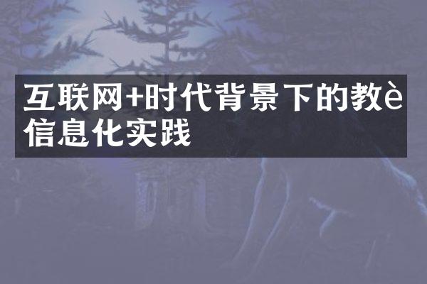 互联网+时代背景下的教育信息化实践