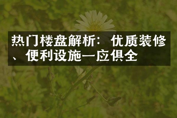 热门楼盘解析：优质装修、便利设施一应俱全