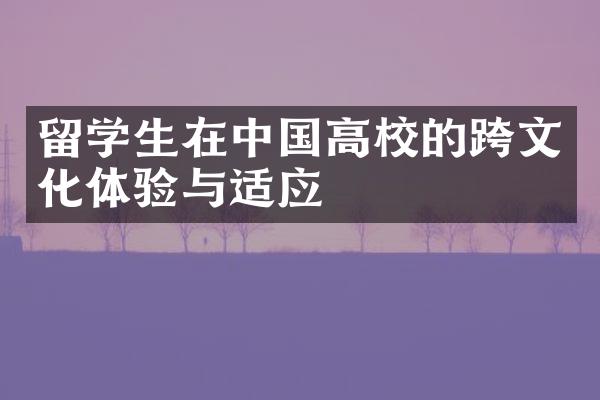 留学生在中国高校的跨文化体验与适应