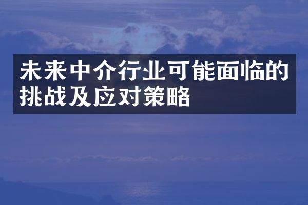 未来中介行业可能面临的挑战及应对策略