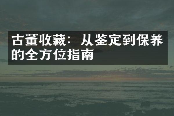 古董收藏：从鉴定到保养的全方位指南