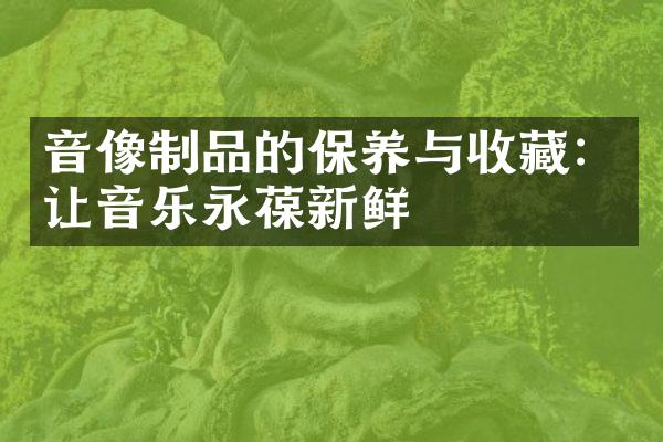 音像制品的保养与收藏：让音乐永葆新鲜