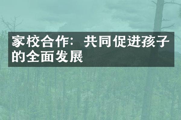 家校合作：共同促进孩子的全面发展