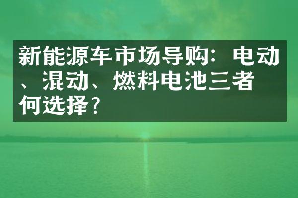 新能源车市场导购：电动、混动、燃料电池三者如何选择？