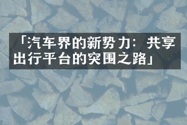 「汽车界的新势力：共享出行平台的突围之路」