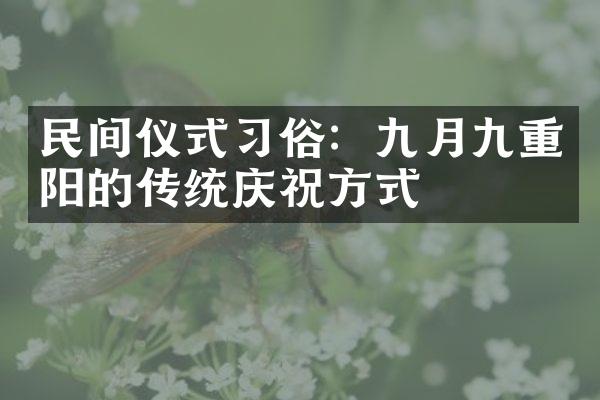 民间仪式习俗：九月九重阳的传统庆祝方式