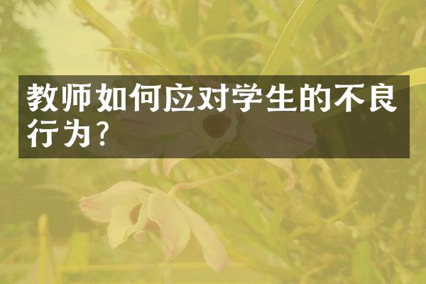 教师如何应对学生的不良行为？