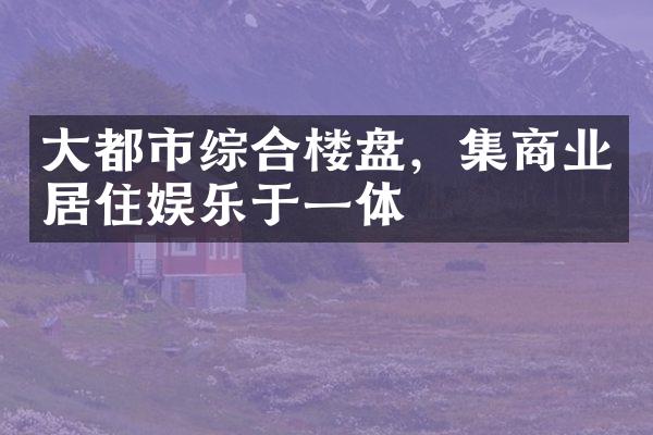 大都市综合楼盘，集商业居住娱乐于一体