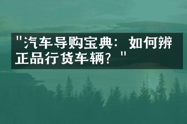 "汽车导购宝典：如何辨别正品行货车辆？"