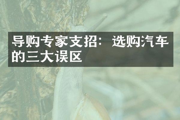 导购专家支招：选购汽车的三大误区