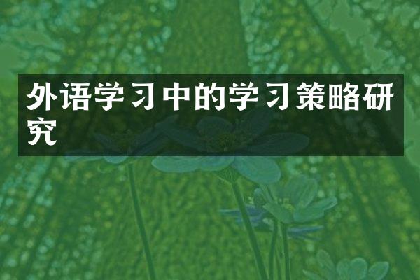 外语学习中的学习策略研究