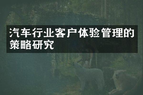 汽车行业客户体验管理的策略研究