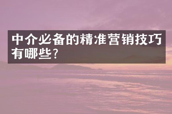 中介必备的精准营销技巧有哪些？