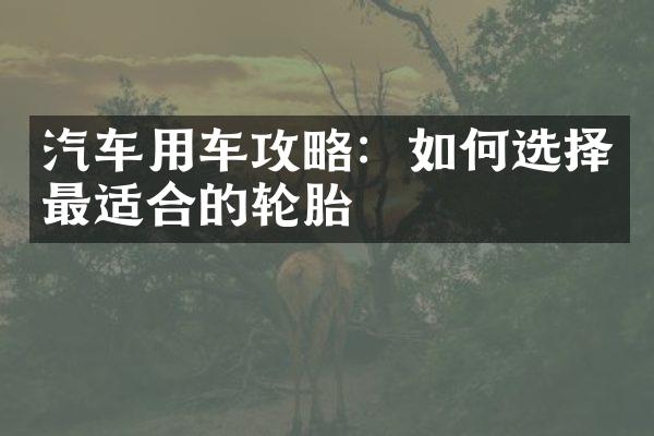 汽车用车攻略：如何选择最适合的轮胎