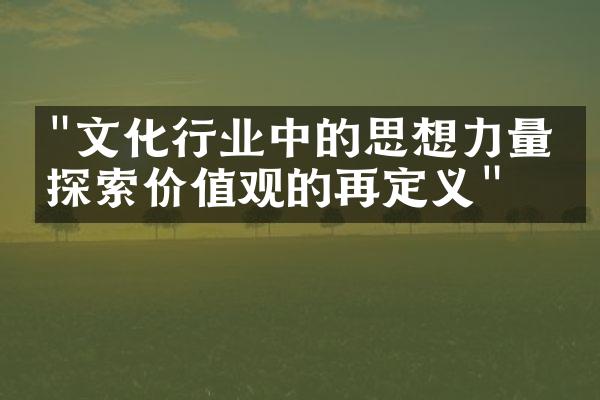 "文化行业中的思想力量：探索价值观的再定义"