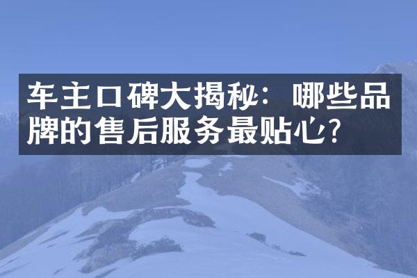 车主口碑大揭秘：哪些品牌的售后服务最贴心？