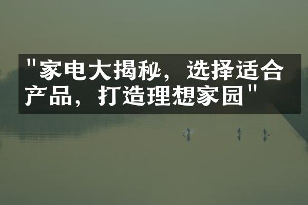 "家电大揭秘，选择适合的产品，打造理想家园"