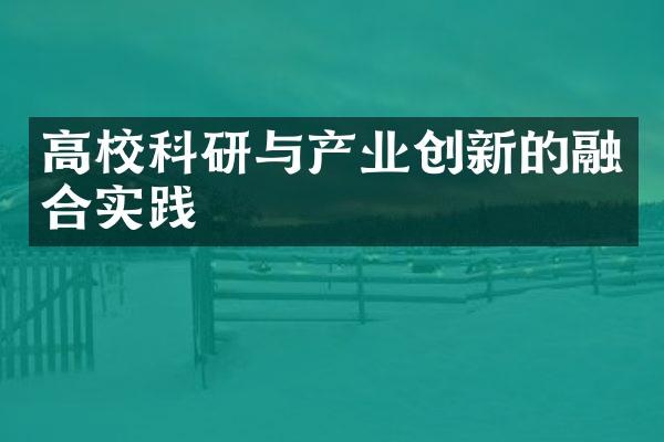 高校科研与产业创新的融合实践