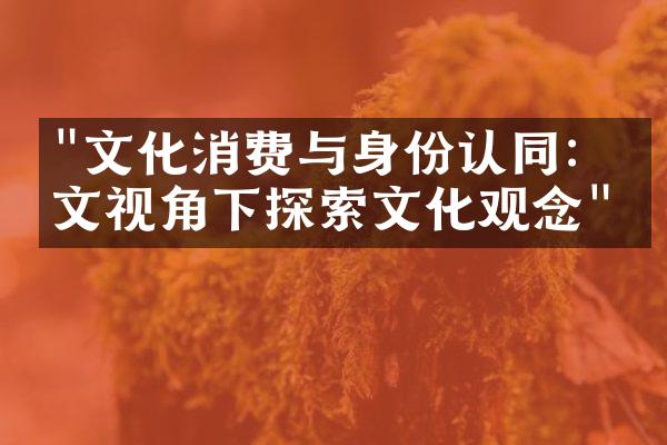 "文化消费与身份认同：人文视角下探索文化观念"