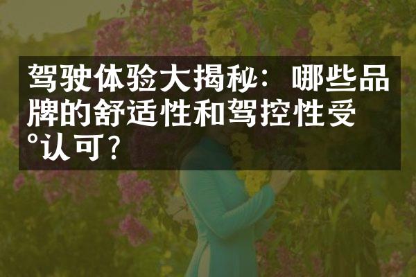 驾驶体验大揭秘：哪些品牌的舒适性和驾控性受到认可？