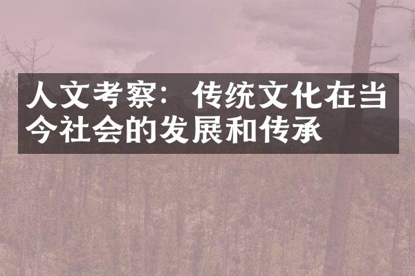 人文考察：传统文化在当今社会的发展和传承