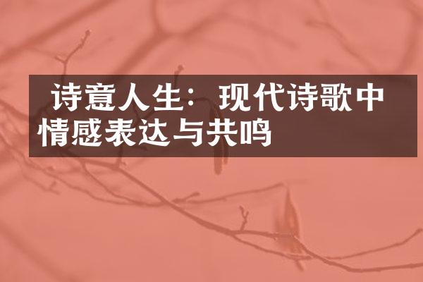  诗意人生：现代诗歌中的情感表达与共鸣