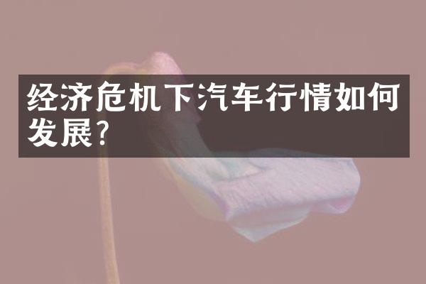 经济危机下汽车行情如何发展？