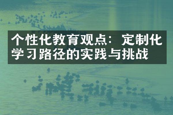 个性化教育观点：定制化学习路径的实践与挑战