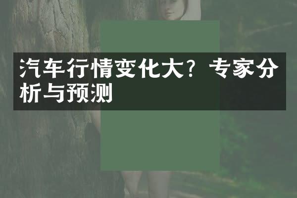 汽车行情变化？专家分析与预测