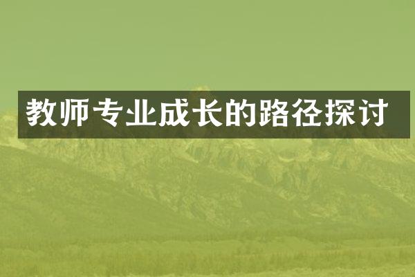 教师专业成长的路径探讨