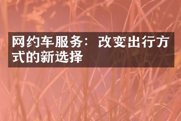 网约车服务：改变出行方式的新选择