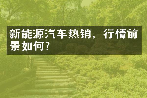 新能源汽车热销，行情前景如何？