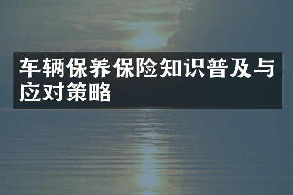 车辆保养保险知识普及与应对策略