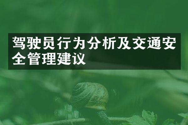 驾驶员行为分析及交通安全管理建议