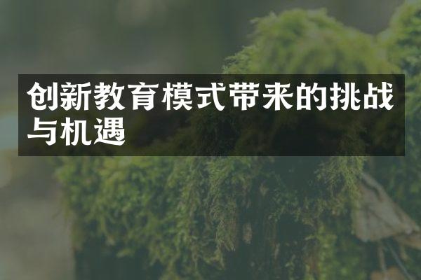 创新教育模式带来的挑战与机遇