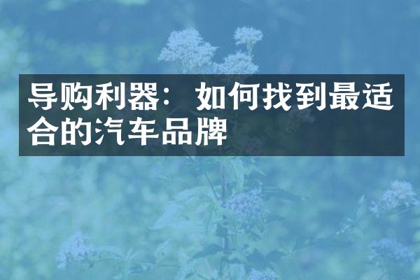 导购利器：如何找到最适合的汽车品牌