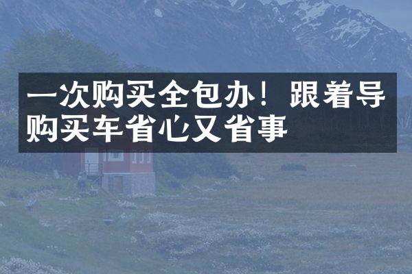 一次购买全包办！跟着导购买车省心又省事