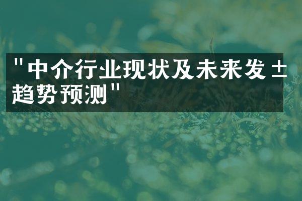 "中介行业现状及未来发展趋势预测"