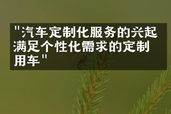 "汽车定制化服务的兴起：满足个性化需求的定制化用车"