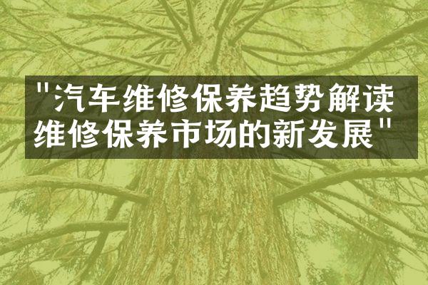 "汽车维修保养趋势解读：维修保养市场的新发展"