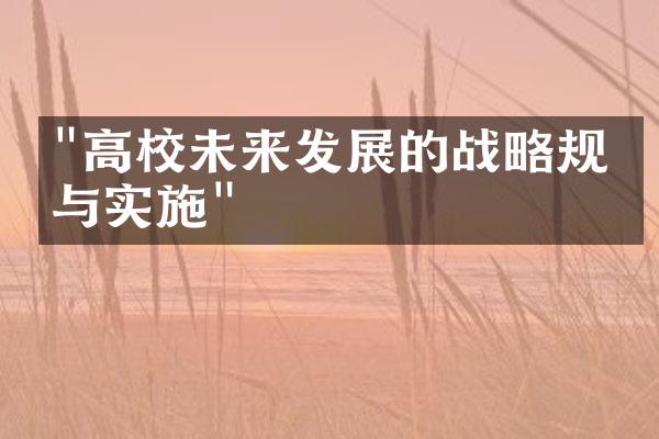 "高校未来发展的战略规划与实施"