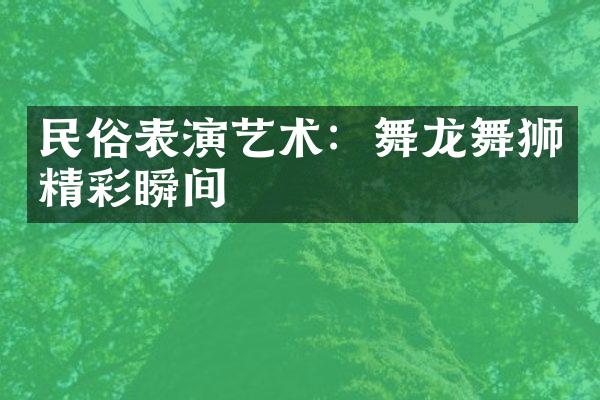 民俗表演艺术：舞龙舞狮精彩瞬间