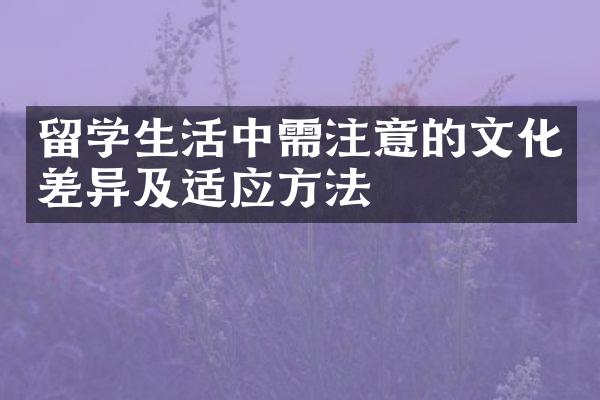 留学生活中需注意的文化差异及适应方法