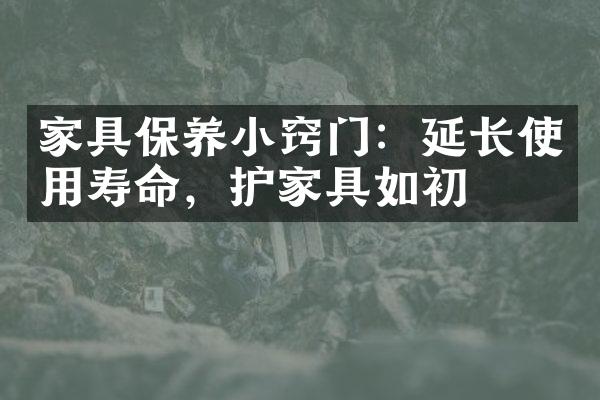 家具保养小窍门：延长使用寿命，护家具如初