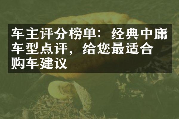 车主评分榜单：经典中庸车型点评，给您最适合的购车建议