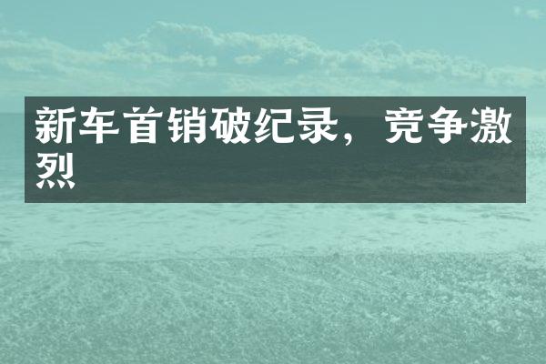 新车首销破纪录，竞争激烈