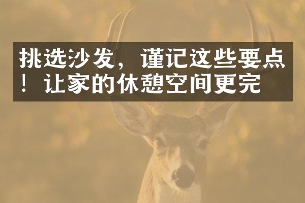 挑选沙发，谨记这些要点！让家的休憩空间更完美