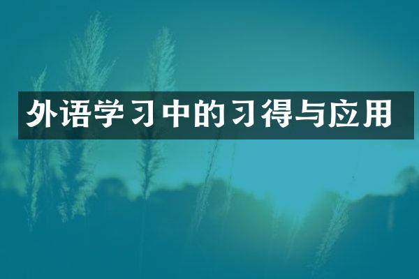 外语学习中的习得与应用